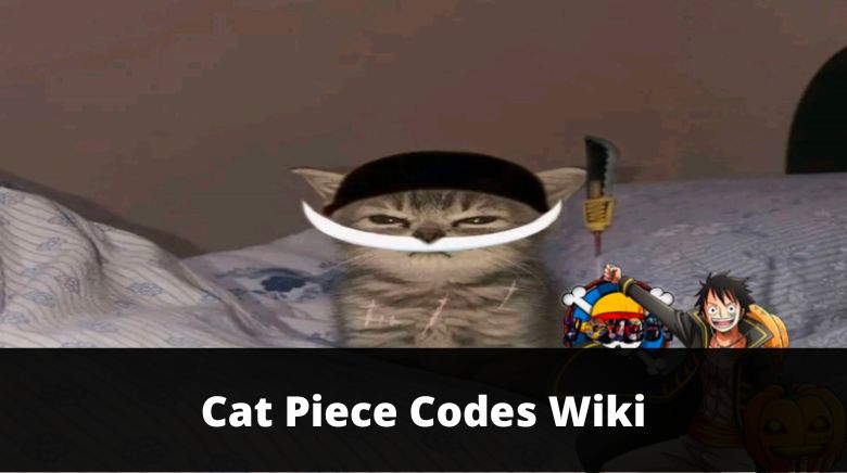猫片代码Wiki